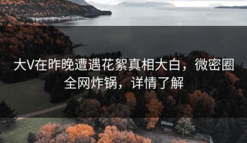 大V在昨晚遭遇花絮真相大白，微密圈全网炸锅，详情了解
