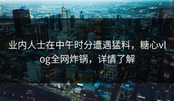 业内人士在中午时分遭遇猛料，糖心vlog全网炸锅，详情了解