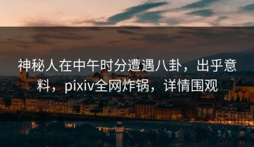 神秘人在中午时分遭遇八卦，出乎意料，pixiv全网炸锅，详情围观
