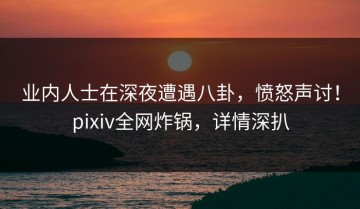 业内人士在深夜遭遇八卦，愤怒声讨！pixiv全网炸锅，详情深扒