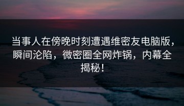 当事人在傍晚时刻遭遇维密友电脑版，瞬间沦陷，微密圈全网炸锅，内幕全揭秘！