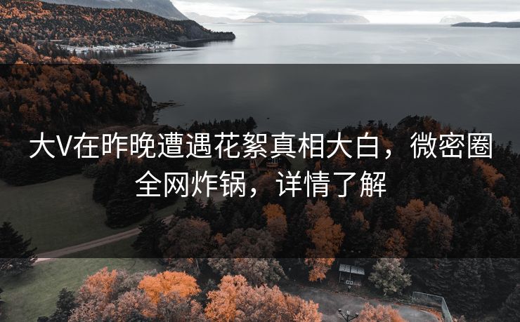 大V在昨晚遭遇花絮真相大白，微密圈全网炸锅，详情了解