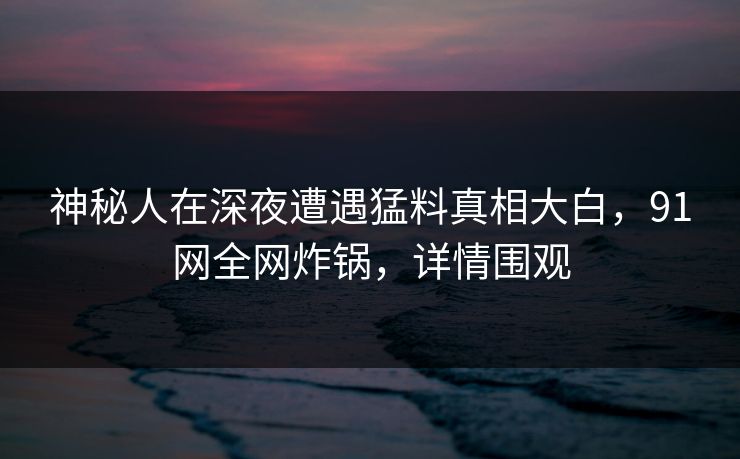 神秘人在深夜遭遇猛料真相大白，91网全网炸锅，详情围观
