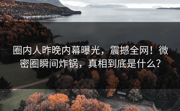圈内人昨晚内幕曝光，震撼全网！微密圈瞬间炸锅，真相到底是什么？