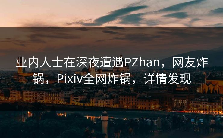 业内人士在深夜遭遇PZhan，网友炸锅，Pixiv全网炸锅，详情发现