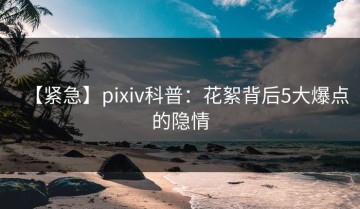 【紧急】pixiv科普：花絮背后5大爆点的隐情