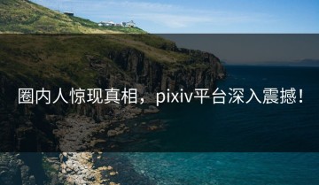 圈内人惊现真相，pixiv平台深入震撼！