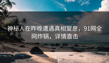 神秘人在昨晚遭遇真相窒息，91网全网炸锅，详情直击