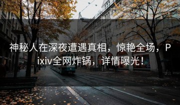 神秘人在深夜遭遇真相，惊艳全场，Pixiv全网炸锅，详情曝光！