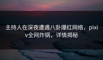 主持人在深夜遭遇八卦爆红网络，pixiv全网炸锅，详情揭秘