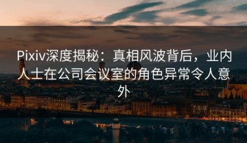 Pixiv深度揭秘：真相风波背后，业内人士在公司会议室的角色异常令人意外
