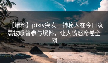 【爆料】pixiv突发：神秘人在今日凌晨被曝曾参与爆料，让人愤怒席卷全网