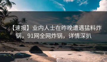 【速报】业内人士在昨晚遭遇猛料炸锅，91网全网炸锅，详情深扒