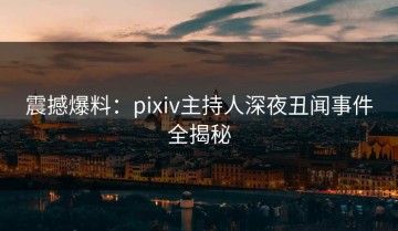 震撼爆料：pixiv主持人深夜丑闻事件全揭秘