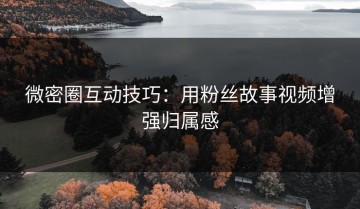 微密圈互动技巧：用粉丝故事视频增强归属感