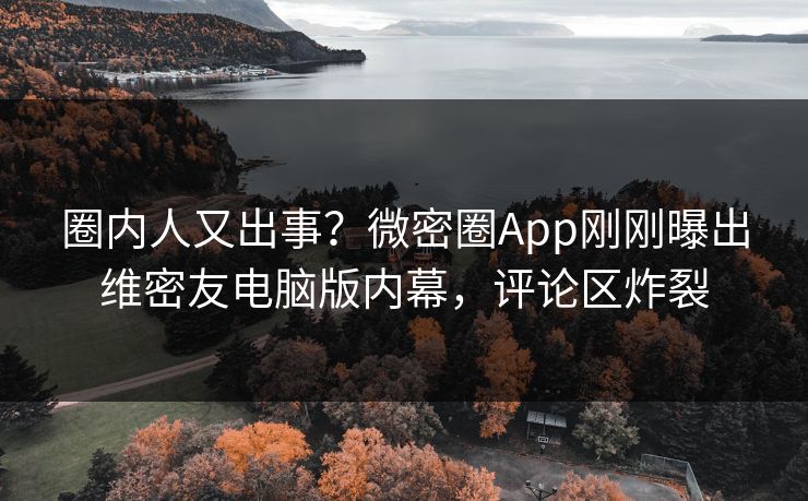 圈内人又出事？微密圈App刚刚曝出维密友电脑版内幕，评论区炸裂