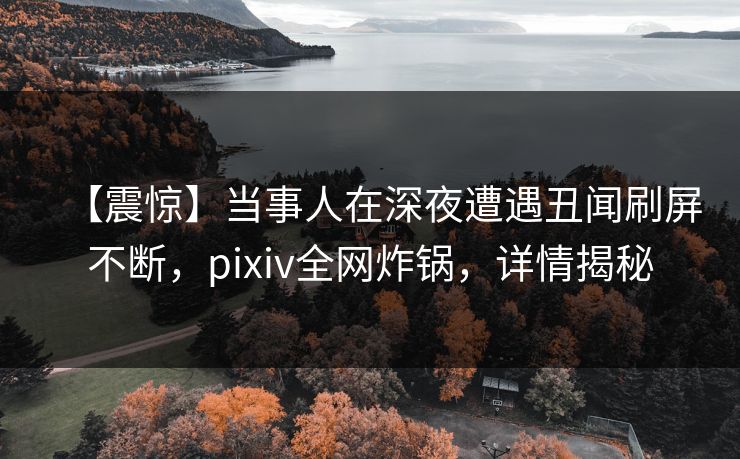【震惊】当事人在深夜遭遇丑闻刷屏不断，pixiv全网炸锅，详情揭秘