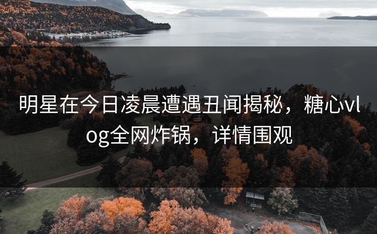 明星在今日凌晨遭遇丑闻揭秘，糖心vlog全网炸锅，详情围观
