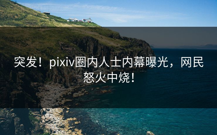 突发！pixiv圈内人士内幕曝光，网民怒火中烧！
