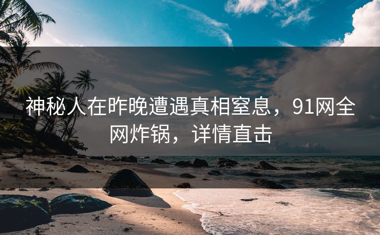 神秘人在昨晚遭遇真相窒息，91网全网炸锅，详情直击