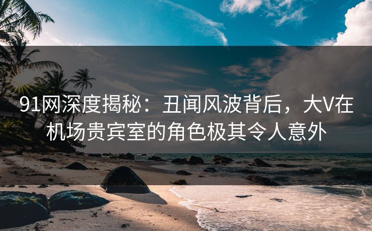 91网深度揭秘：丑闻风波背后，大V在机场贵宾室的角色极其令人意外