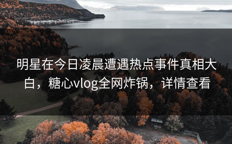 明星在今日凌晨遭遇热点事件真相大白，糖心vlog全网炸锅，详情查看