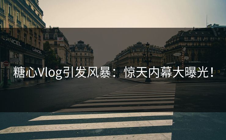 糖心Vlog引发风暴:惊天内幕大曝光! 糖心Vlog引发风暴:惊天内幕大曝光!