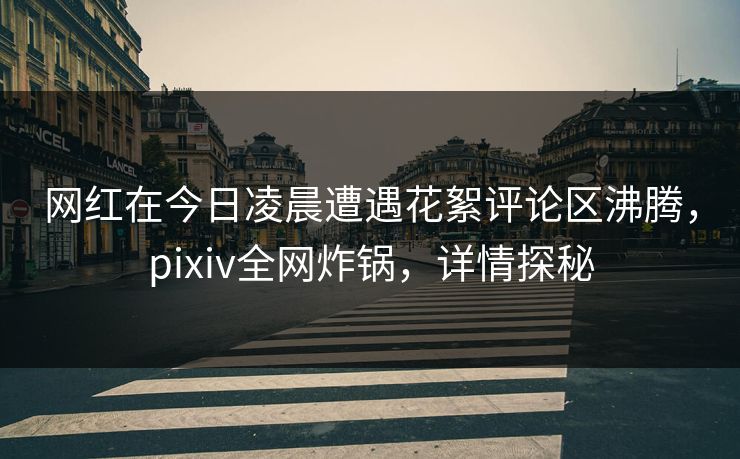网红在今日凌晨遭遇花絮评论区沸腾,pixiv全网炸锅,详情探秘 网红在今日凌晨遭遇花絮评论区沸腾,pixiv全网炸锅,详情探秘