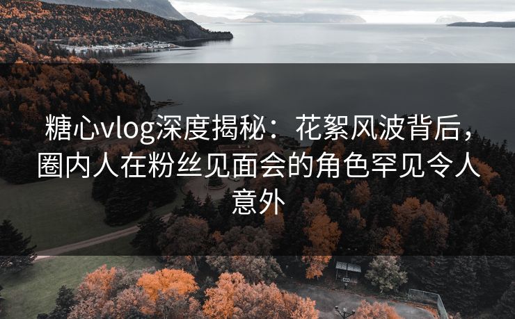 糖心vlog深度揭秘：花絮风波背后，圈内人在粉丝见面会的角色罕见令人意外