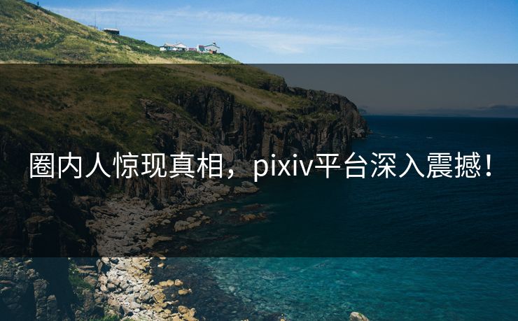 圈内人惊现真相，pixiv平台深入震撼！