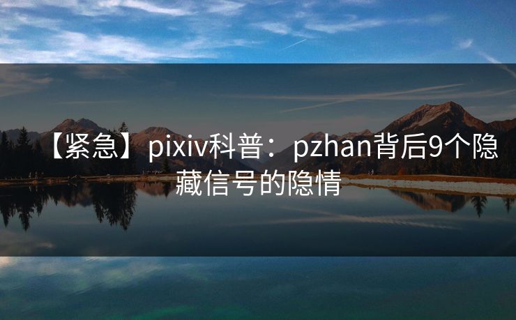 【紧急】pixiv科普：pzhan背后9个隐藏信号的隐情